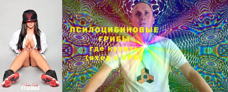 Галлюциногенные грибы Cubensis  Дмитриев 